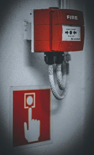 Fire and gas detector