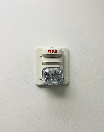 Fire and gas detector